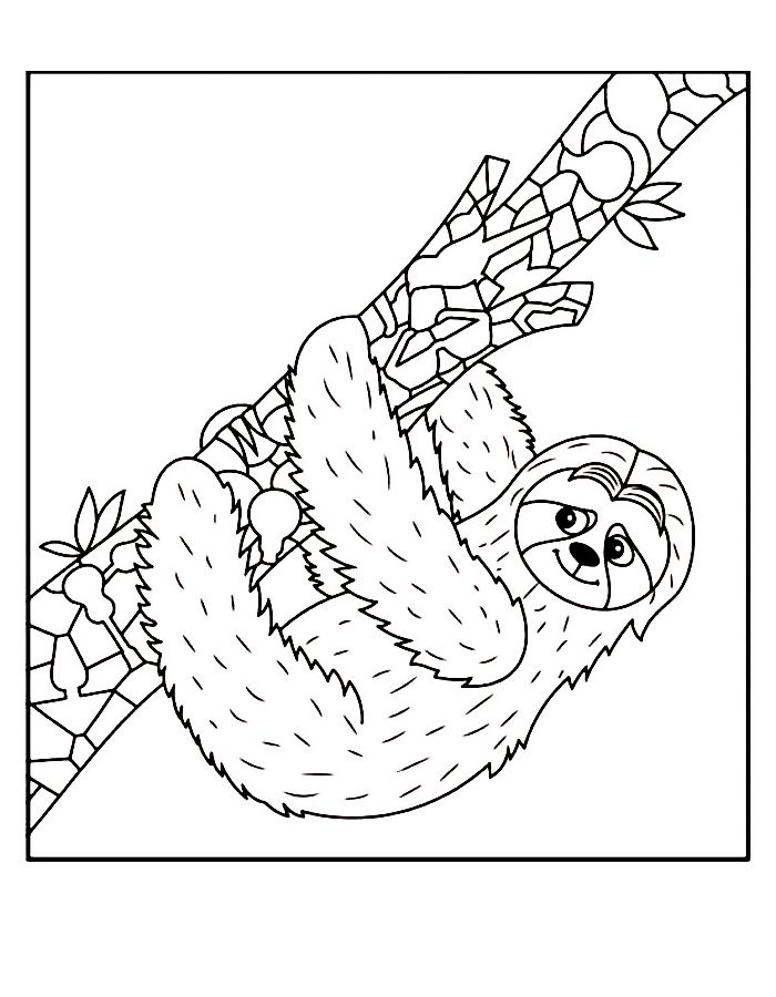 Sloth For Kids Coloring Page