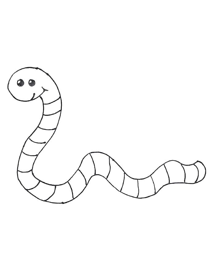 Slow Worm Coloring Page