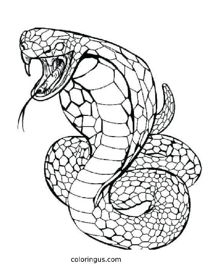 Snake Coloring Pages
