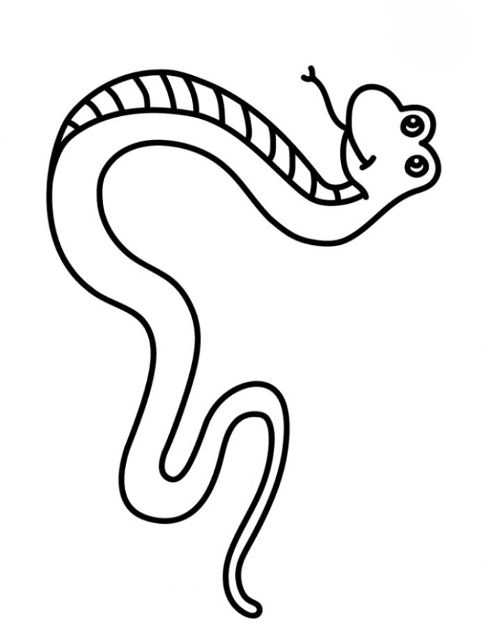 Snake Line Art Coloring Page