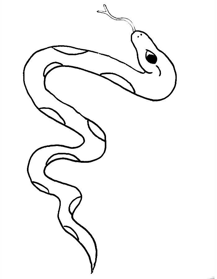 Snakes Picture Outline Coloring Page