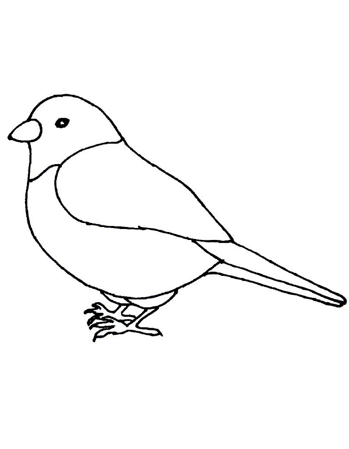 Sparrow Bird Easily Coloring Page