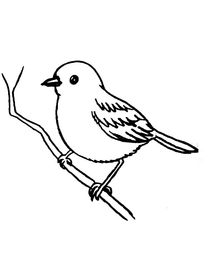 Sparrow Bird Line Drawing Coloring Page