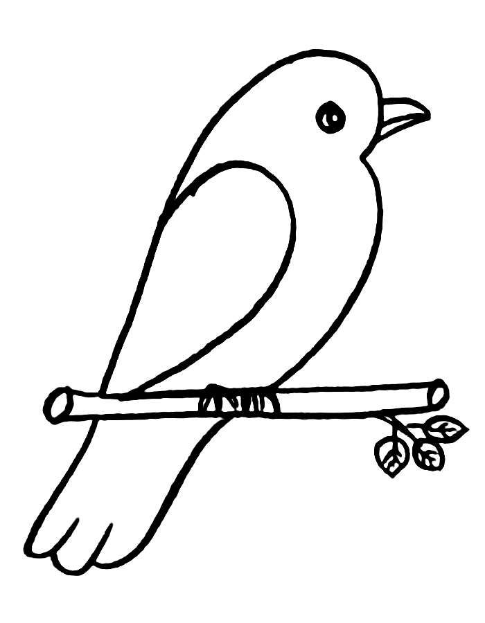 Sparrow Sit On Branch Coloring Page