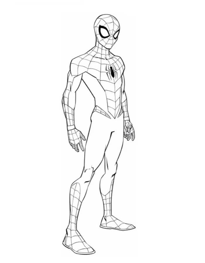 Spider Man No Way Home Marvel Character