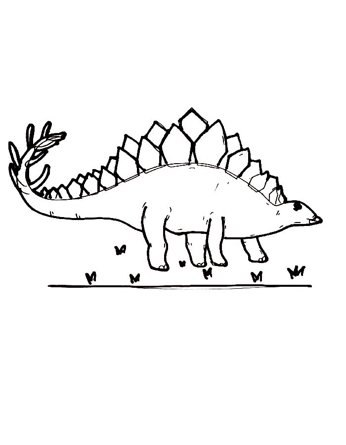 Stegosaurus Drawing Coloring Page