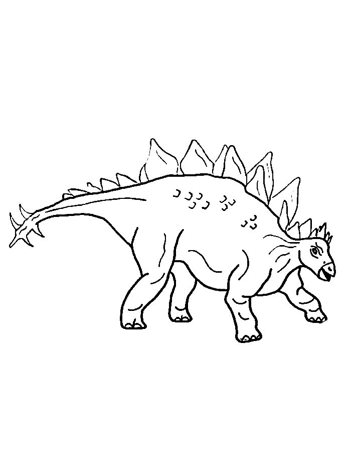 Stegosaurus Picture Coloring Page