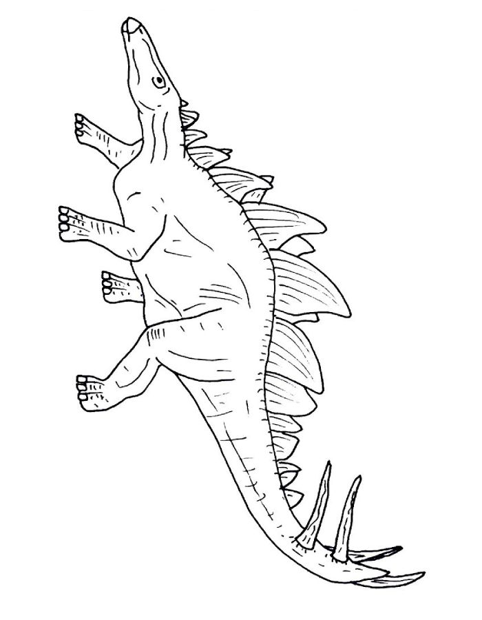 Stegosaurus Printable Coloring Page