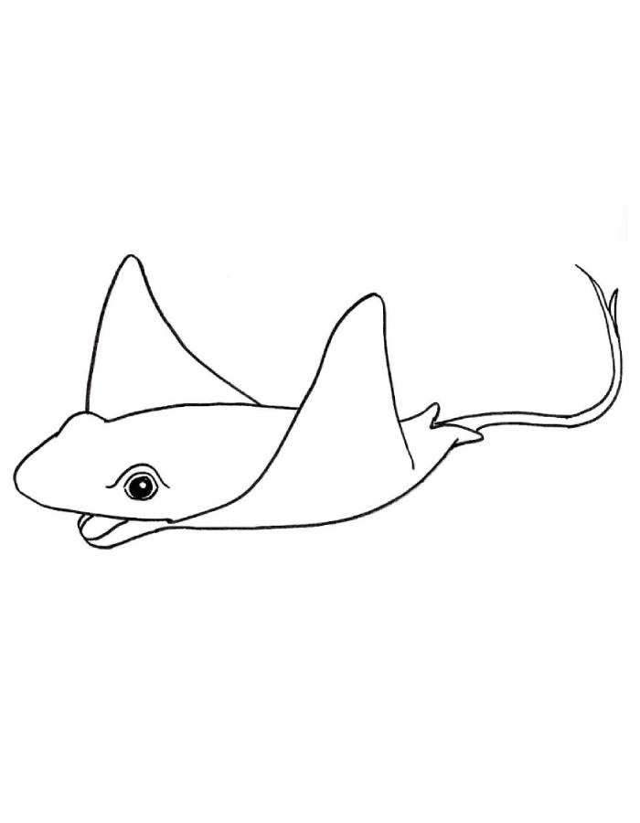 Stingray Coloring Pages
