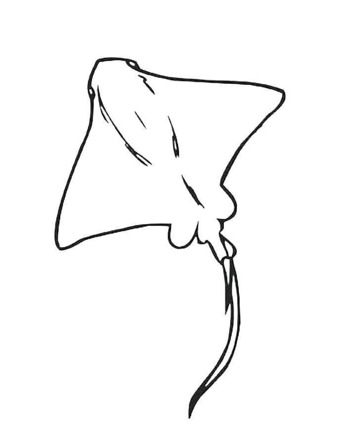 stingray ocean tatto