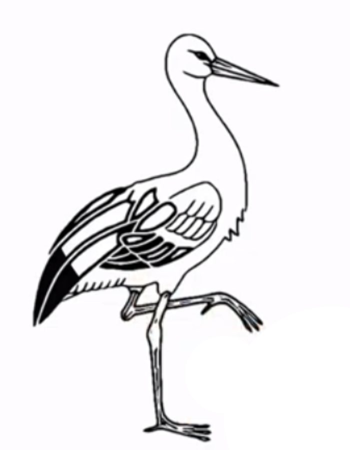 stork coloring pages