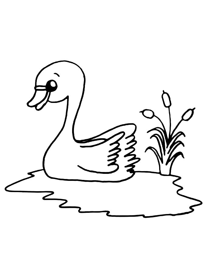 Swan Couple Wallpaper Coloring Page