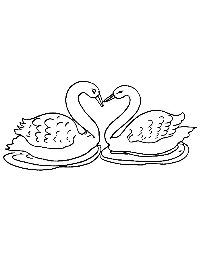 Swan Couple Coloring Page