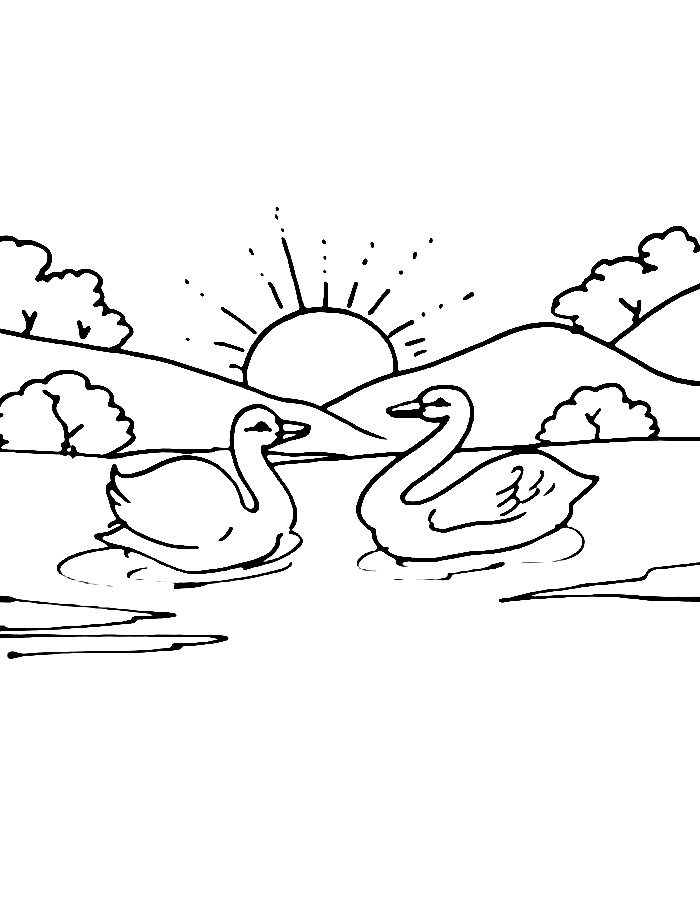 Swan Lake Coloring Page