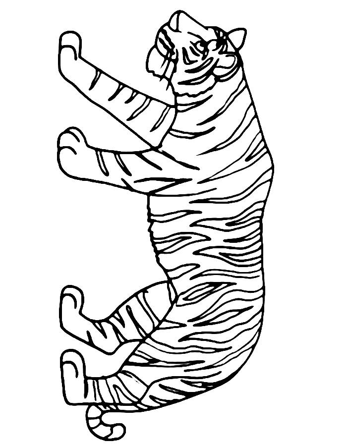 Tiger Color Sheet Coloring Page