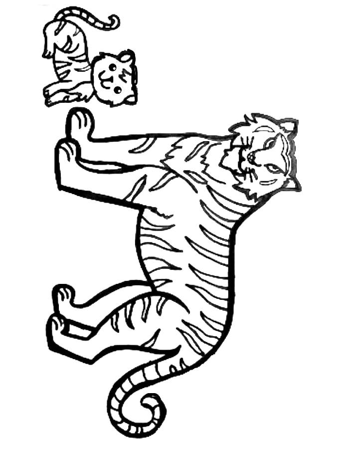 Tiger For Kids And Toddlers  Coloring Page