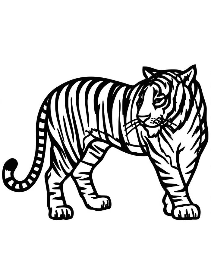 Tiger Printable Images Coloring Page