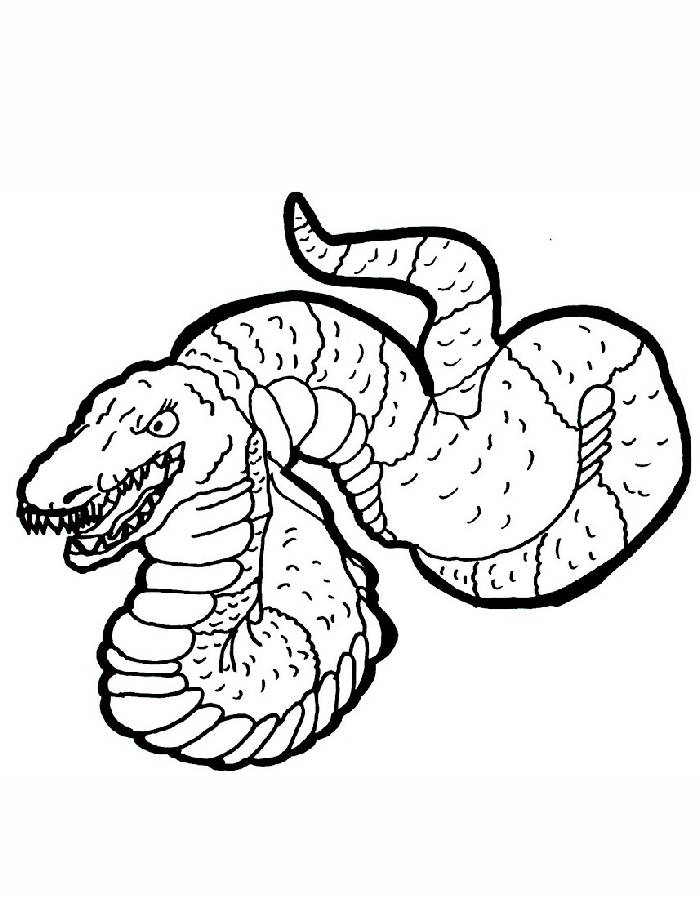 Titanoboa Snake Coloring Page