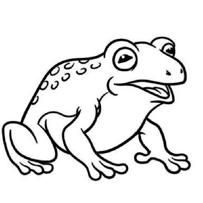 Toad Animal Coloring Page