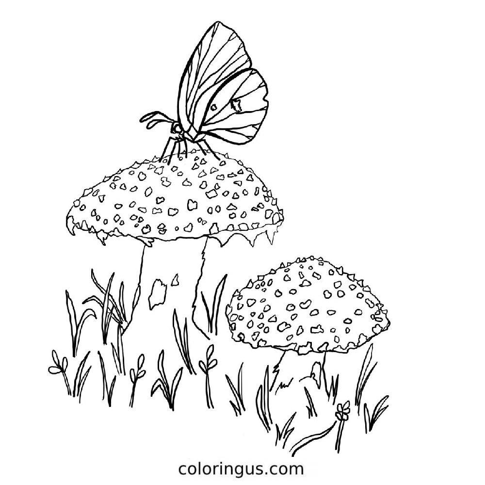 Toadstool Image Coloring Page