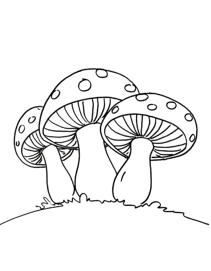 Toadstool Printable Coloring Page