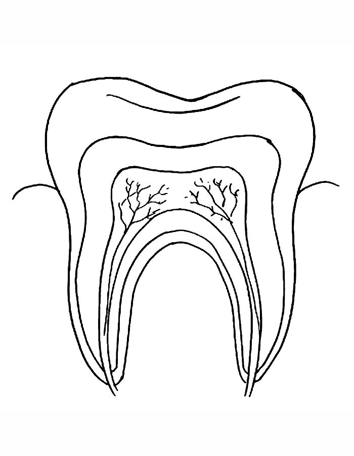 Toothbrush & Toothpaste For Toddlers Coloring Page | Coloringus.com