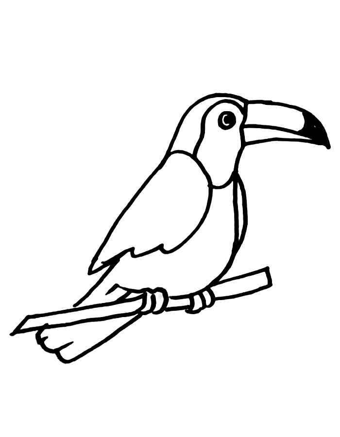 Toucan Bird Easy Drawing Coloring Page