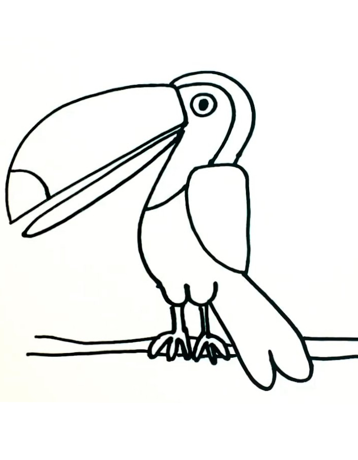 Toucan  coloring page