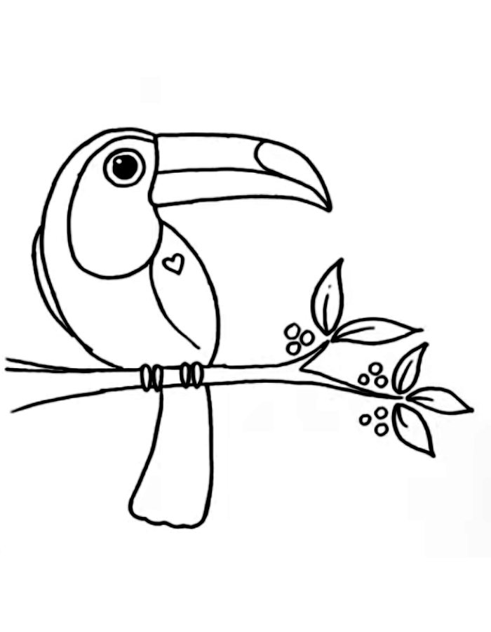 Toucan On Branch Coloring Page