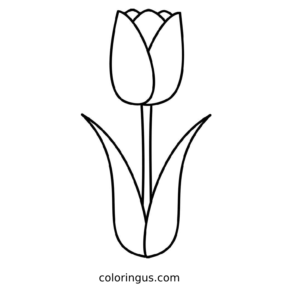 Tulip Coloring Pages For Kids