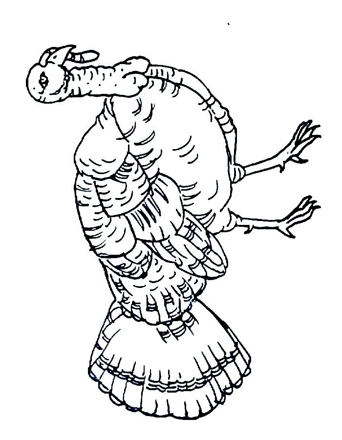 Turkey Image Coloring Page