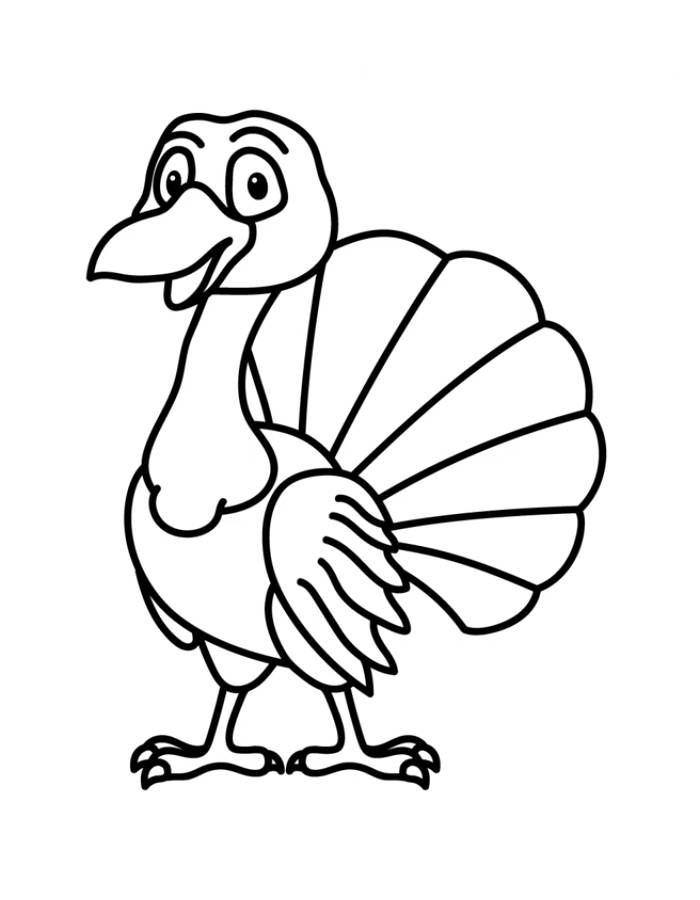 Turkey Drawing Color Coloring Page