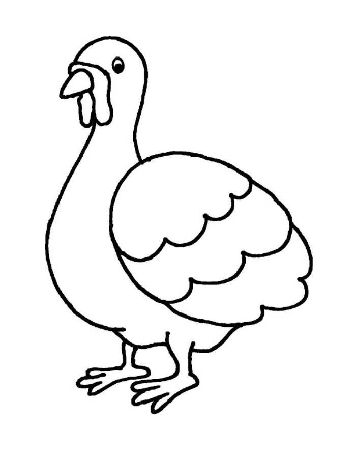 Turkey Pictures To Print Out Coloring Page