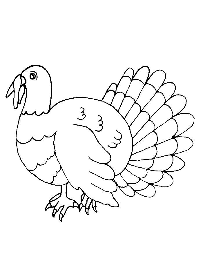 Turkey Template To Color Coloring Page