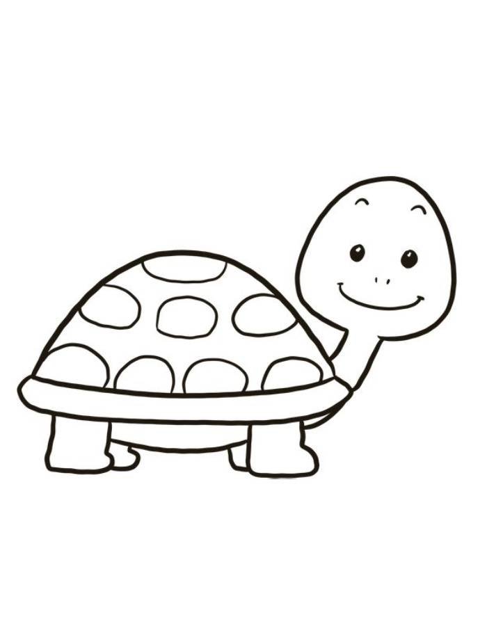 Turtle Animal Cartoon Coloring Page