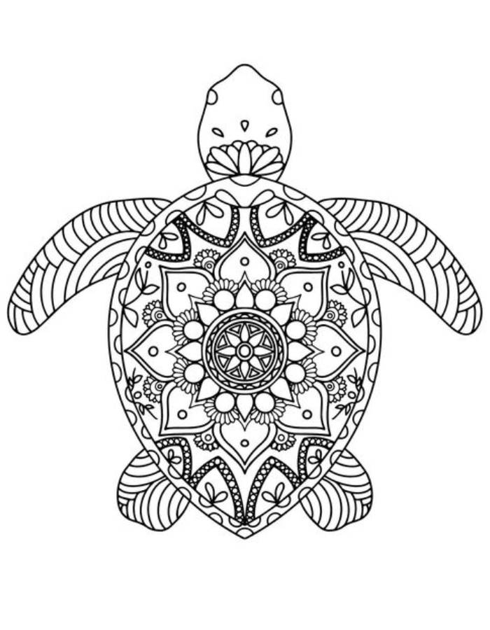 Turtle Mandala Coloring Page