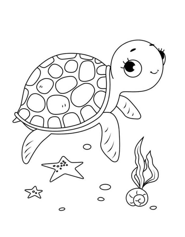 Turtle Outline Printable Coloring Page