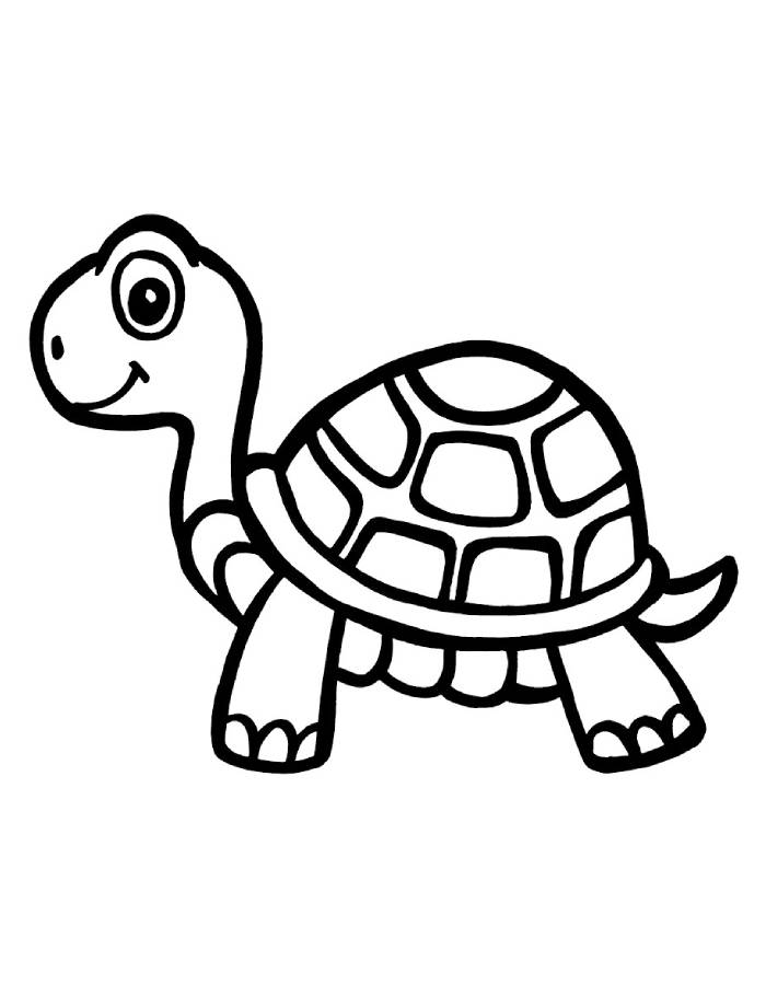 Turtles Printable Pdf Coloring Page