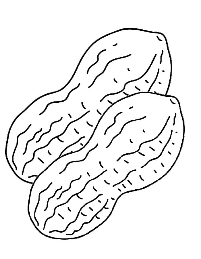 two peanut coloring page