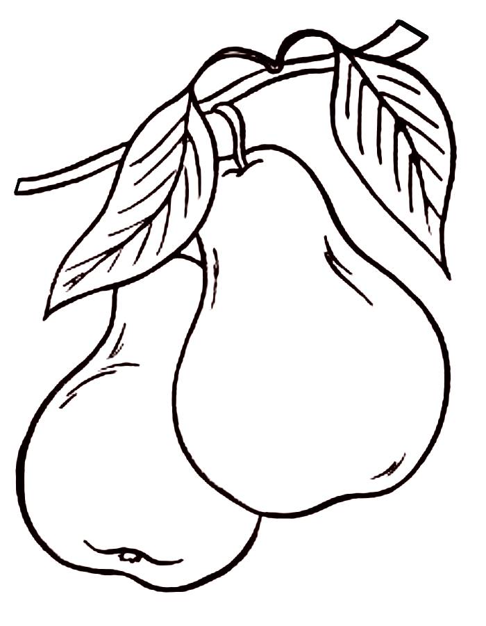 Two Pear On Branch Coloring Page