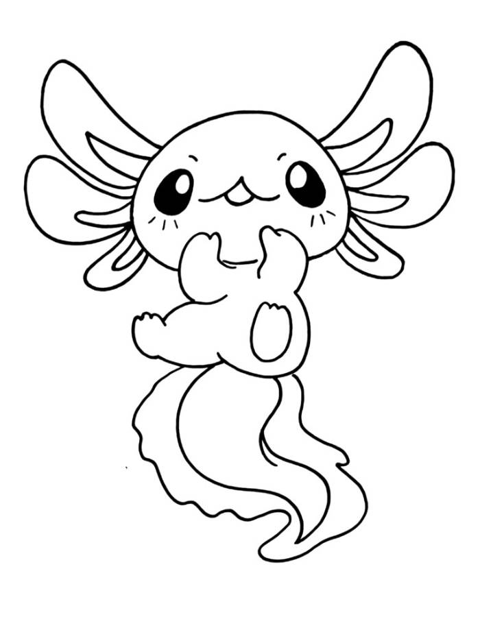 Unique And Adorable Axolotl