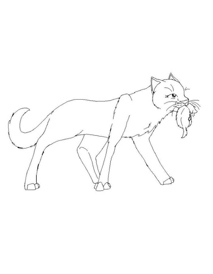 Warrior Cats Queen Coloring Page