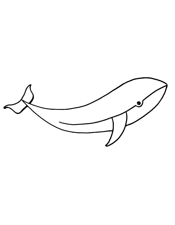 Whale Fish Drawing Easy Coloring Page