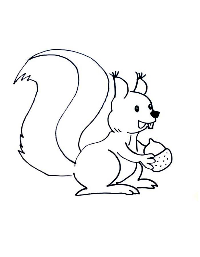 Wild Animal Chipmunk Coloring Page