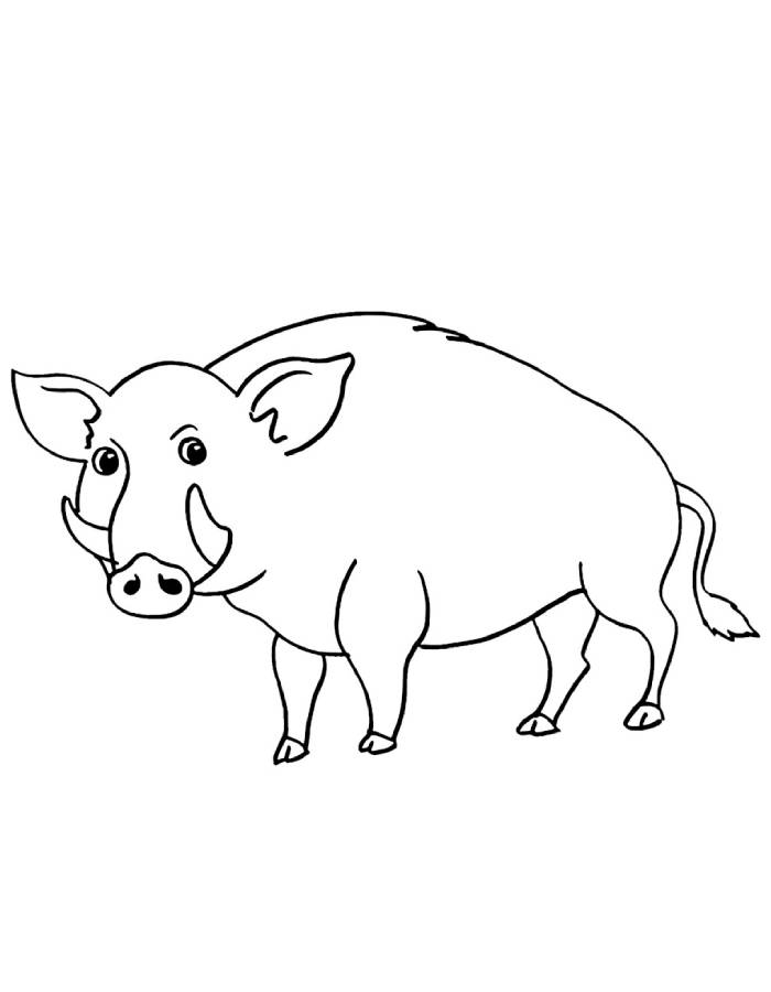 Wild Boar Coloring Page