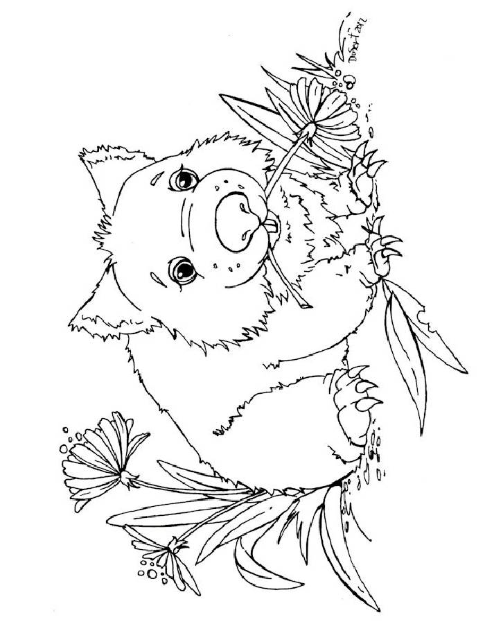 Wombat Coloring Page