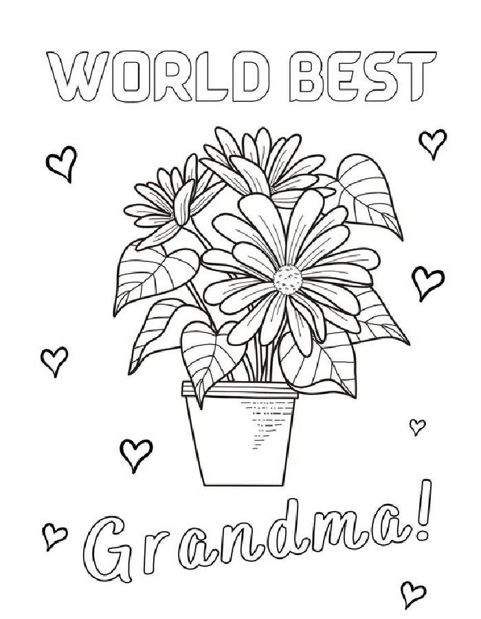 Tazza Da Caffè "World's Best Grandma" 325 Ml - Regalo Per La Nonna Per Compleanno, Festa Della Mamma, Natale - Ceramica Di Alta Qualità, Adatta Al Microonde, Con Confezione Regalo