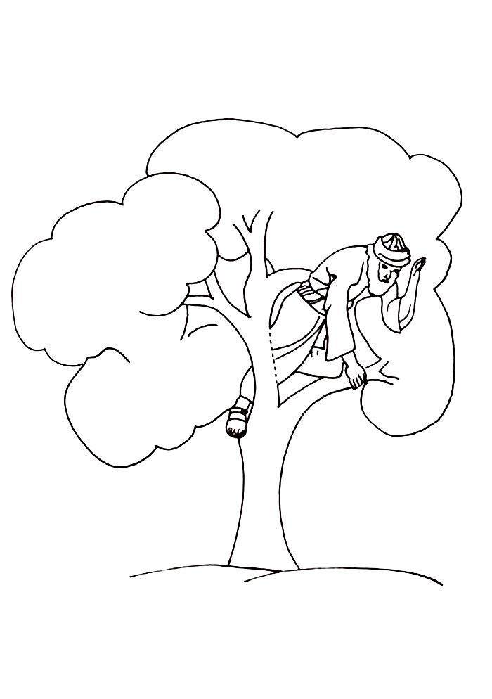 Zacchaeus The Tax Collector Coloring Page