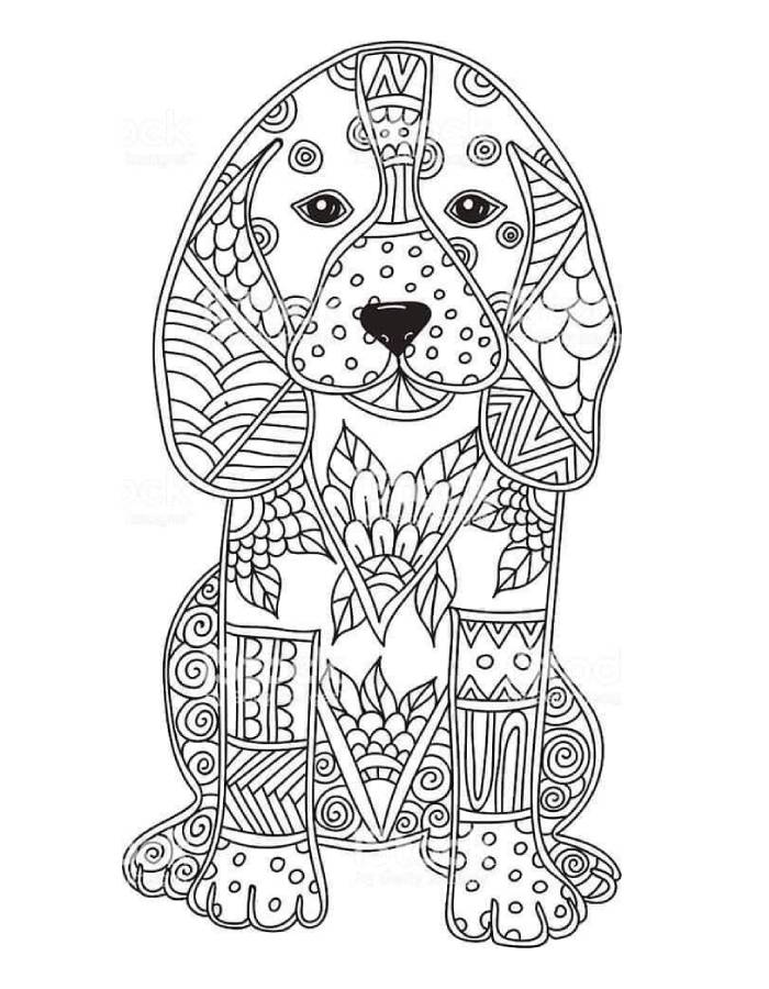 Zentangle Dog Printable